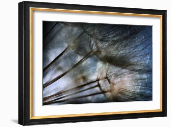 Untitled-Antonio Grambone-Framed Photographic Print