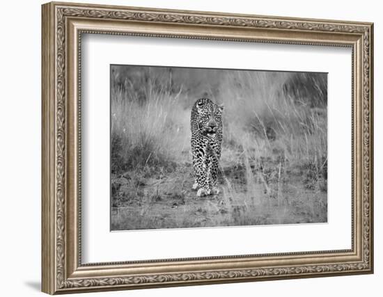 Untitled-Massimo Mei-Framed Photographic Print