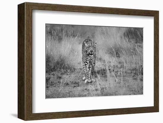 Untitled-Massimo Mei-Framed Photographic Print