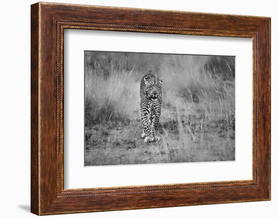 Untitled-Massimo Mei-Framed Photographic Print