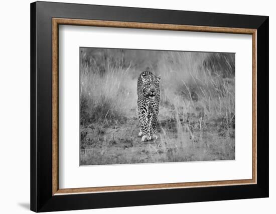 Untitled-Massimo Mei-Framed Photographic Print