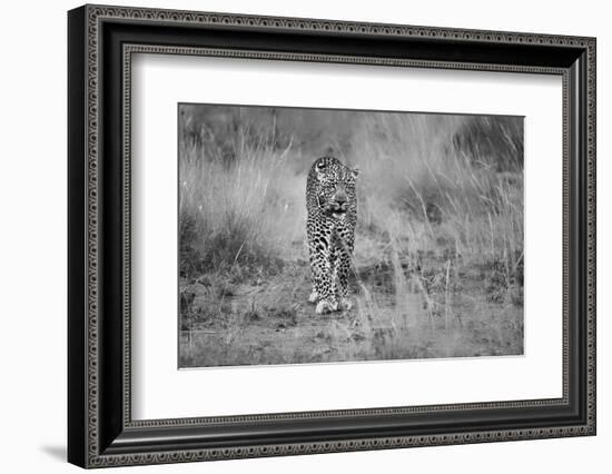 Untitled-Massimo Mei-Framed Photographic Print