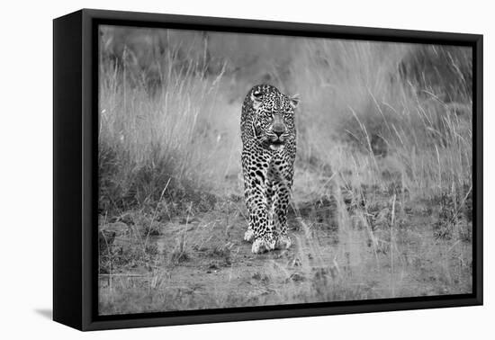 Untitled-Massimo Mei-Framed Premier Image Canvas