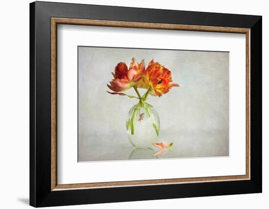 Untitled-Alida van Zaane-Framed Photographic Print