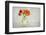 Untitled-Alida van Zaane-Framed Photographic Print