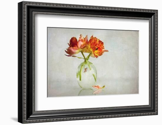 Untitled-Alida van Zaane-Framed Photographic Print