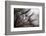 Untitled-keren or-Framed Photographic Print