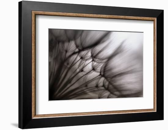 Untitled-keren or-Framed Photographic Print