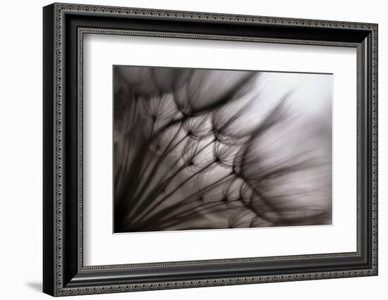 Untitled-keren or-Framed Photographic Print