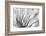 Untitled-keren or-Framed Photographic Print