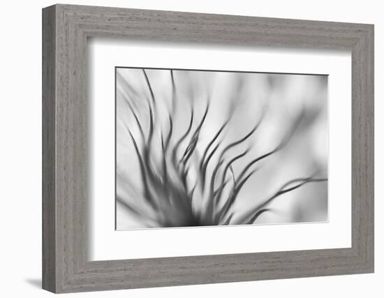 Untitled-keren or-Framed Photographic Print