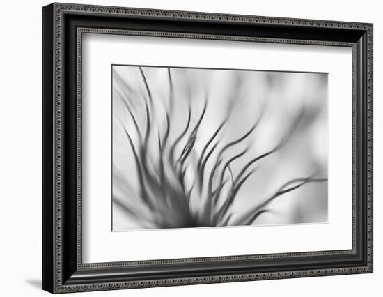 Untitled-keren or-Framed Photographic Print