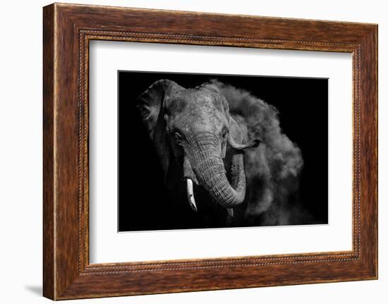 Untitled-Vedran Vidak-Framed Photographic Print