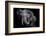 Untitled-Vedran Vidak-Framed Photographic Print