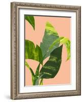 Untitled-Emma Jones-Framed Giclee Print