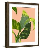 Untitled-Emma Jones-Framed Giclee Print