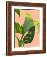 Untitled-Emma Jones-Framed Giclee Print