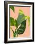 Untitled-Emma Jones-Framed Giclee Print