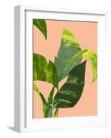 Untitled-Emma Jones-Framed Giclee Print