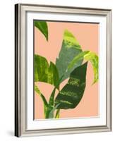 Untitled-Emma Jones-Framed Giclee Print