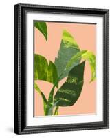 Untitled-Emma Jones-Framed Giclee Print