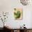 Untitled-Emma Jones-Premium Giclee Print displayed on a wall