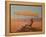 Untitled-Lincoln Seligman-Framed Premier Image Canvas