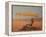 Untitled-Lincoln Seligman-Framed Premier Image Canvas