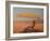 Untitled-Lincoln Seligman-Framed Giclee Print