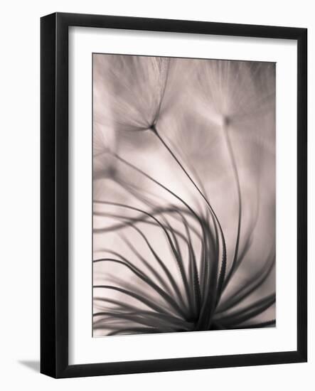 Untitled-keren or-Framed Photographic Print