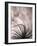 Untitled-keren or-Framed Photographic Print