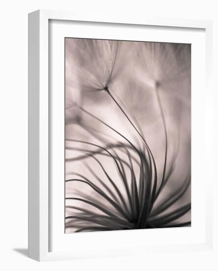 Untitled-keren or-Framed Photographic Print