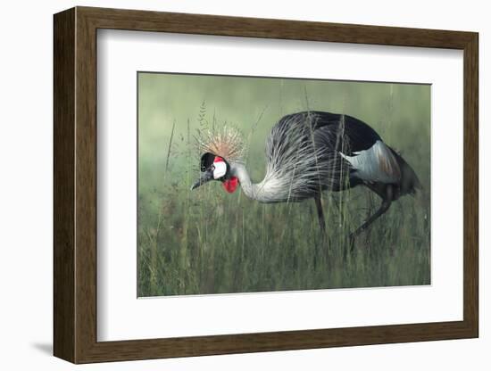 Untitled-Ahmed Sobhi-Framed Photographic Print