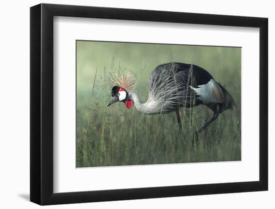 Untitled-Ahmed Sobhi-Framed Photographic Print