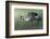 Untitled-Ahmed Sobhi-Framed Photographic Print