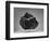 Untitled-Rob Li-Framed Photographic Print