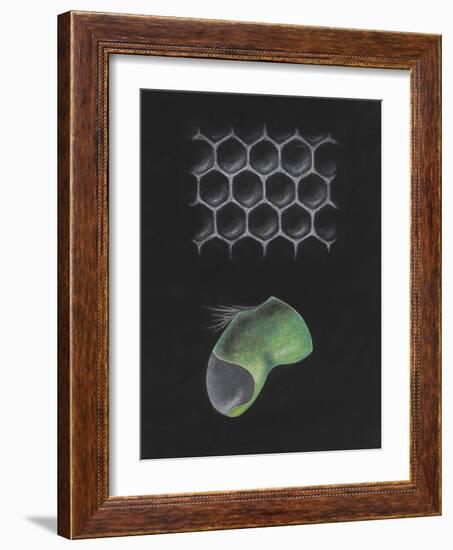 Untitled-Philip Henry Gosse-Framed Giclee Print