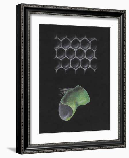 Untitled-Philip Henry Gosse-Framed Giclee Print