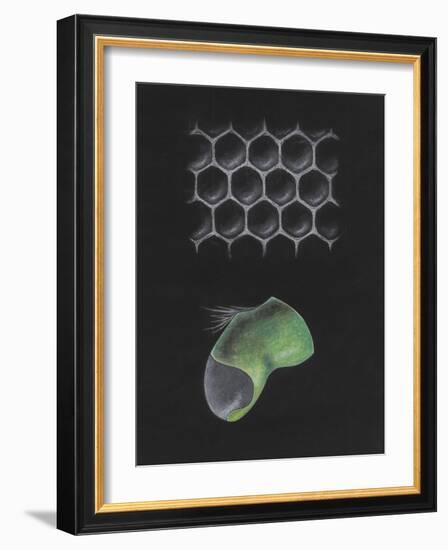 Untitled-Philip Henry Gosse-Framed Giclee Print