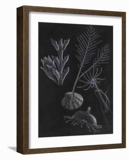 Untitled-Philip Henry Gosse-Framed Giclee Print