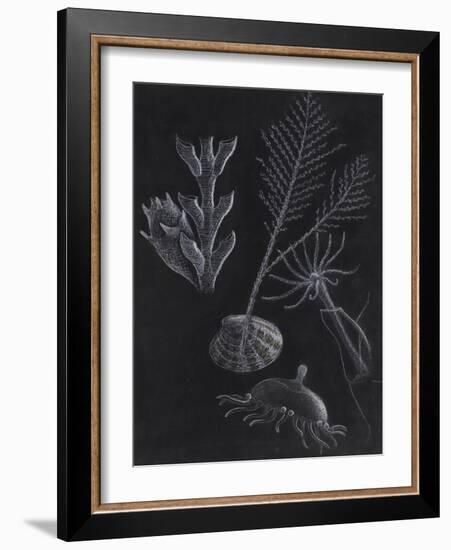 Untitled-Philip Henry Gosse-Framed Giclee Print