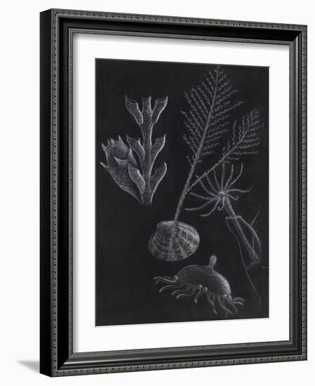 Untitled-Philip Henry Gosse-Framed Giclee Print