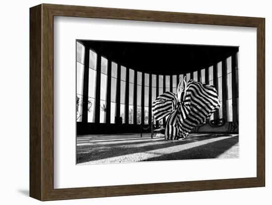 Untitled-Shay Lev Ari-Framed Photographic Print