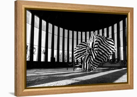 Untitled-Shay Lev Ari-Framed Premier Image Canvas