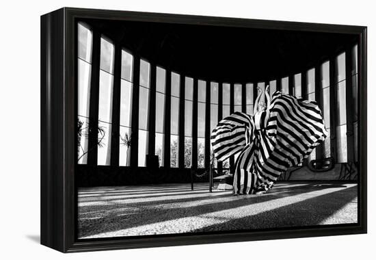 Untitled-Shay Lev Ari-Framed Premier Image Canvas