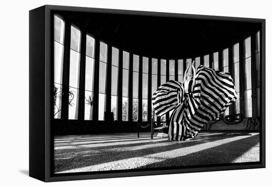 Untitled-Shay Lev Ari-Framed Premier Image Canvas