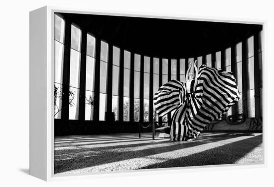 Untitled-Shay Lev Ari-Framed Premier Image Canvas