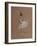 Untitled-Susan Adams-Framed Giclee Print