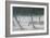 Untitled-Lincoln Seligman-Framed Giclee Print