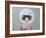 Untitled-Susan Adams-Framed Giclee Print